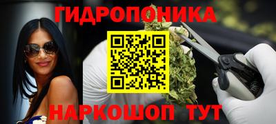 шишки Моздок