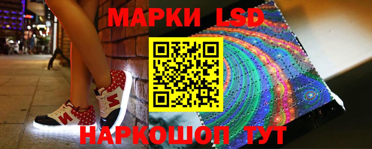 Ставрополь  omg ссылка  Лсд 25 экстази ecstasy  Вход с VPN  ЛСД экстази кислота 